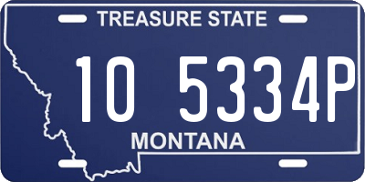 MT license plate 105334P