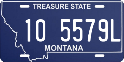 MT license plate 105579L