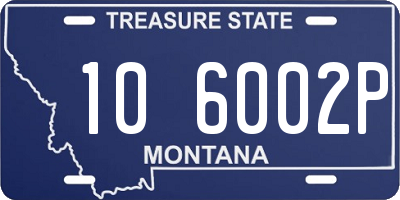 MT license plate 106002P