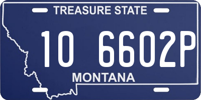 MT license plate 106602P