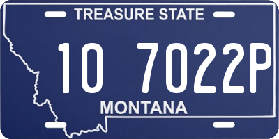 MT license plate 107022P