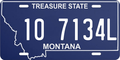 MT license plate 107134L