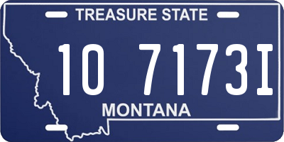 MT license plate 107173I