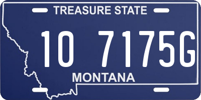 MT license plate 107175G