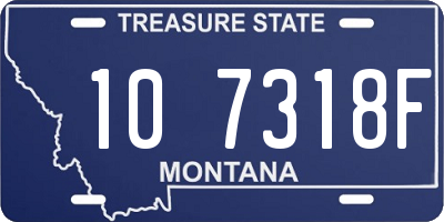 MT license plate 107318F