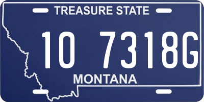 MT license plate 107318G