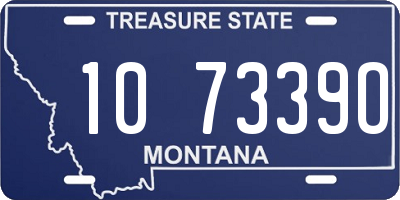 MT license plate 107339O