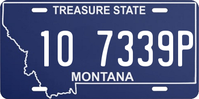 MT license plate 107339P