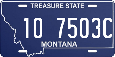 MT license plate 107503C