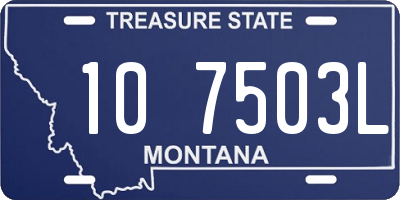 MT license plate 107503L