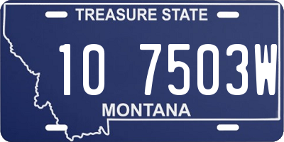 MT license plate 107503W