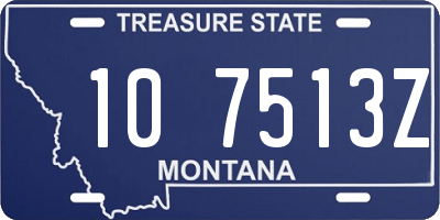 MT license plate 107513Z