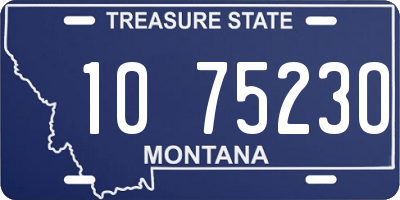 MT license plate 107523O