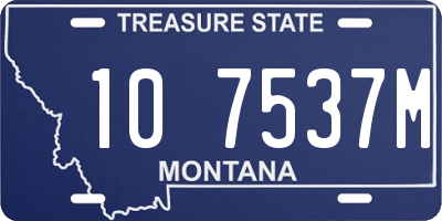 MT license plate 107537M