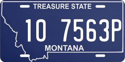MT license plate 107563P