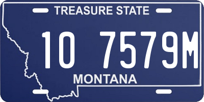 MT license plate 107579M