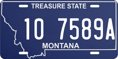 MT license plate 107589A