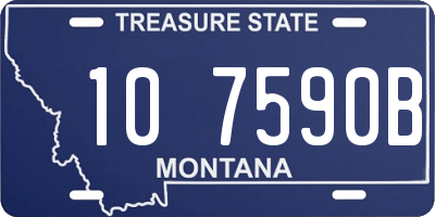 MT license plate 107590B