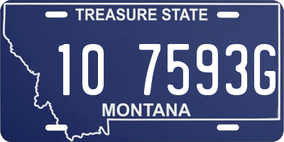 MT license plate 107593G