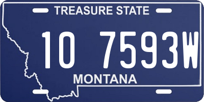 MT license plate 107593W