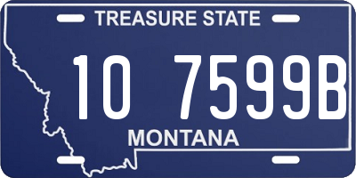 MT license plate 107599B