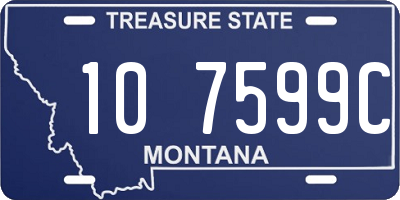 MT license plate 107599C