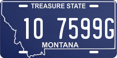 MT license plate 107599G