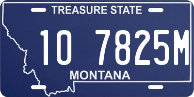 MT license plate 107825M