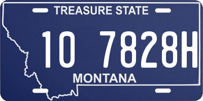 MT license plate 107828H