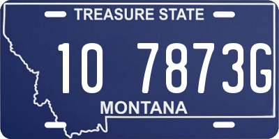 MT license plate 107873G