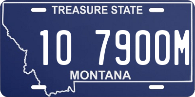 MT license plate 107900M