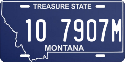 MT license plate 107907M