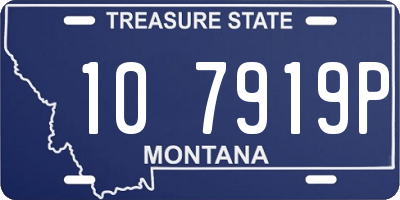 MT license plate 107919P