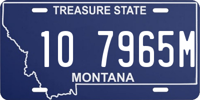 MT license plate 107965M