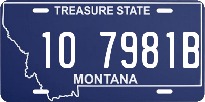 MT license plate 107981B