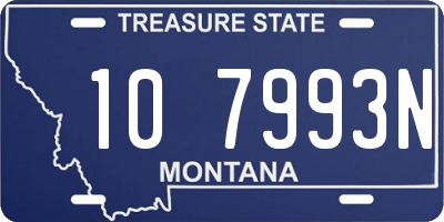 MT license plate 107993N