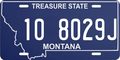 MT license plate 108029J