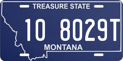 MT license plate 108029T