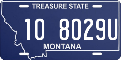 MT license plate 108029U