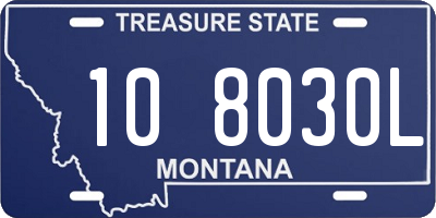 MT license plate 108030L