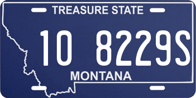 MT license plate 108229S