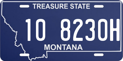 MT license plate 108230H