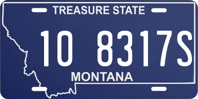 MT license plate 108317S