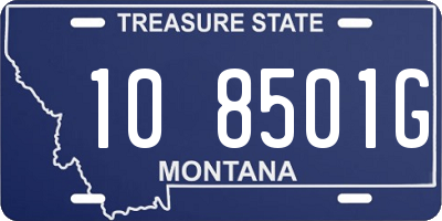 MT license plate 108501G