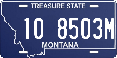 MT license plate 108503M