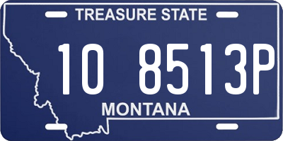 MT license plate 108513P