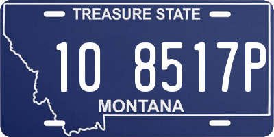 MT license plate 108517P