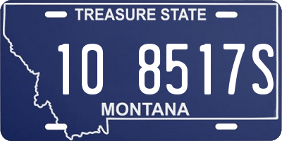 MT license plate 108517S