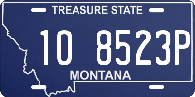 MT license plate 108523P