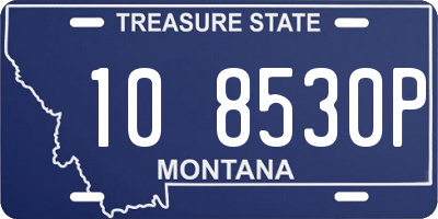 MT license plate 108530P